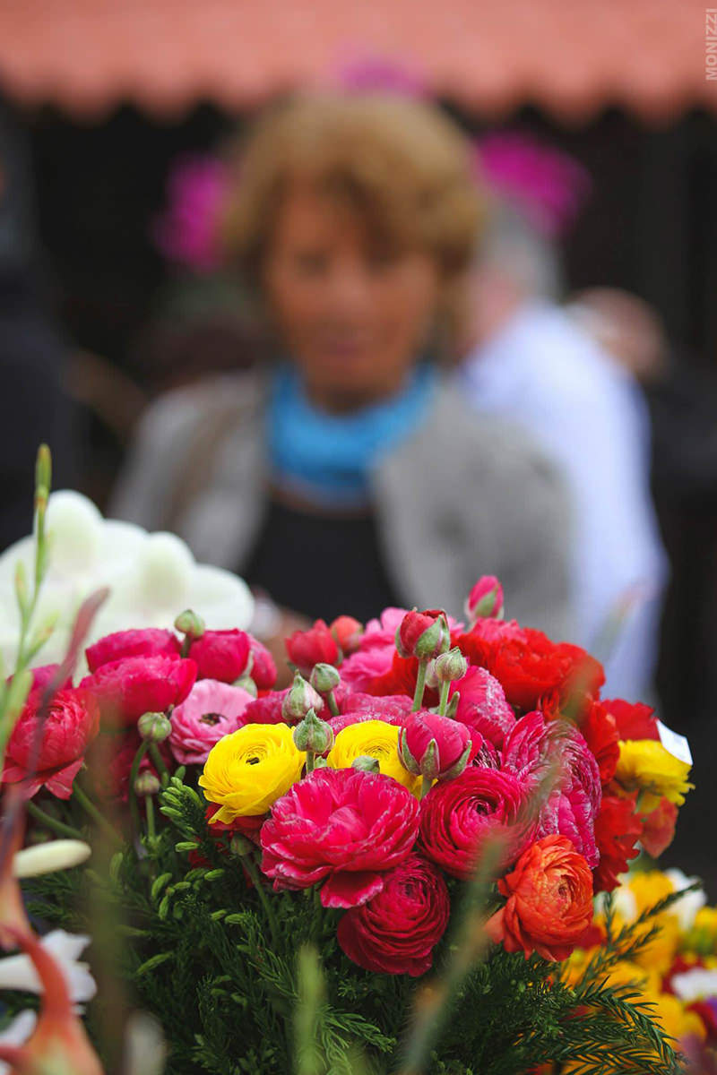 Madeira Flower festival