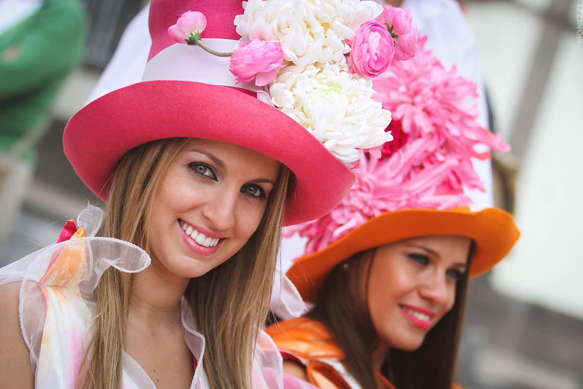Madeira Flower festival
